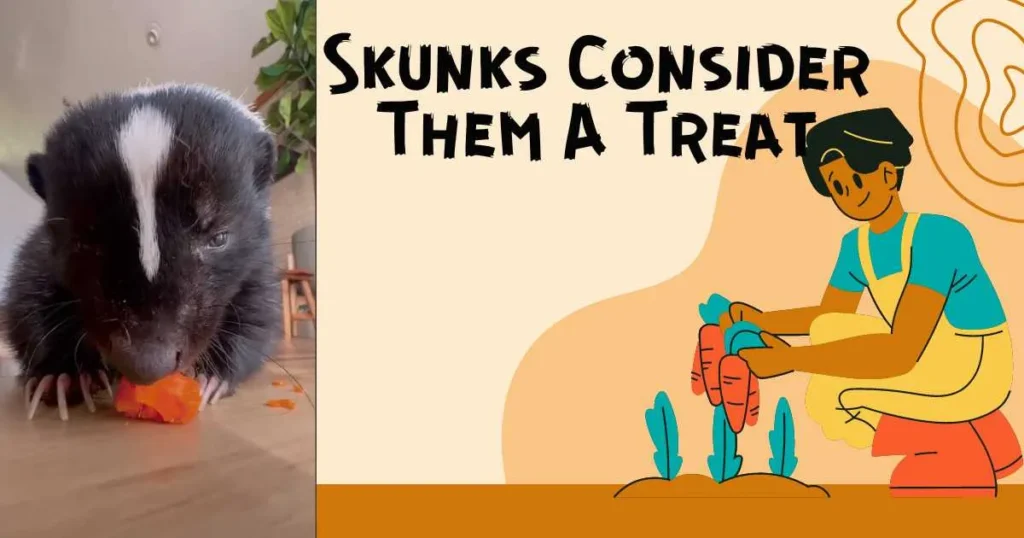 Do Skunks Consider Them A Treat