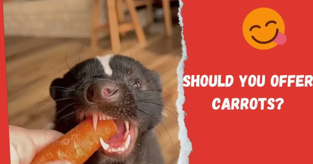 Feeding Skunks: Should You Offer Carrots?