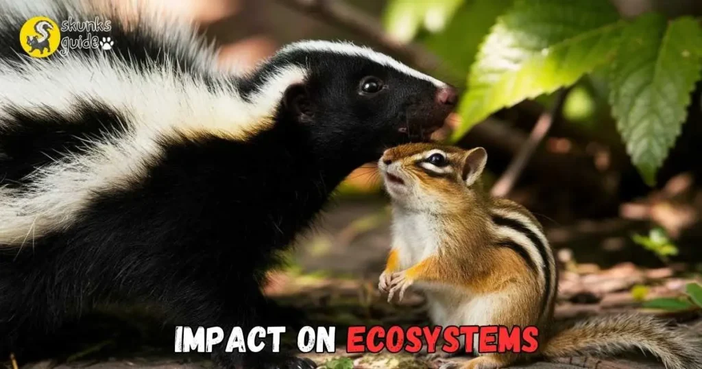 Impact On Ecosystems Skunks Eating Chipmunks