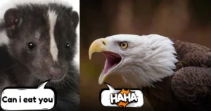 do skunks eat eagles