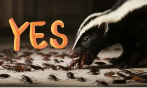 Skunks Eat Roaches