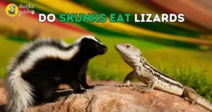 Do Skunks Eat Lizards