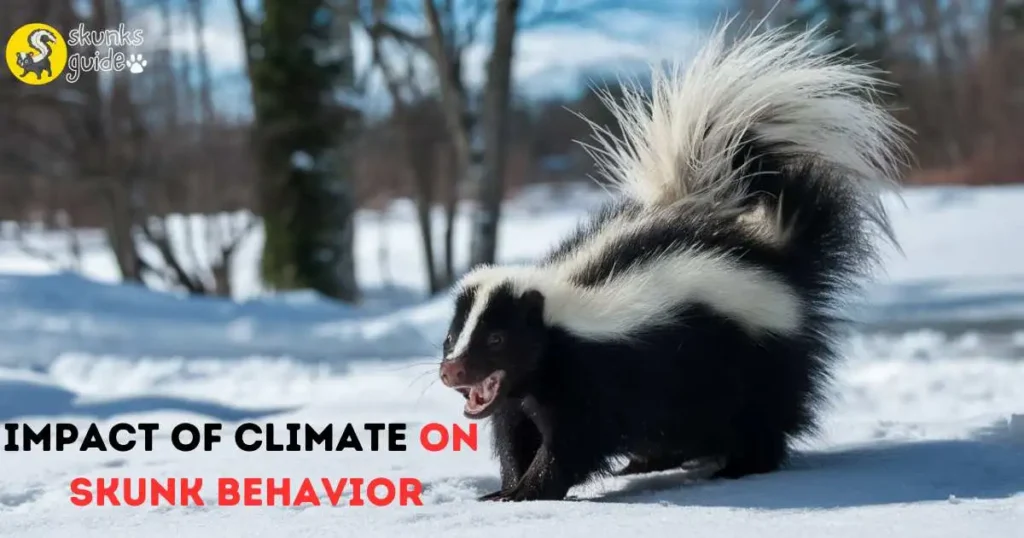 Impact Of Climate On Skunk Behavior