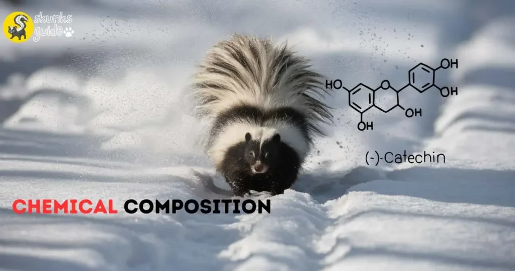 Skunk Spray Chemical Composition