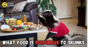 What Food Is Poisonous To Skunks