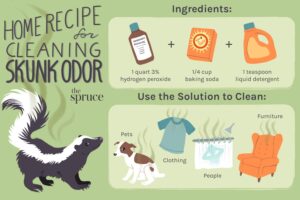 How to Remove Skunk Smell from Fabric