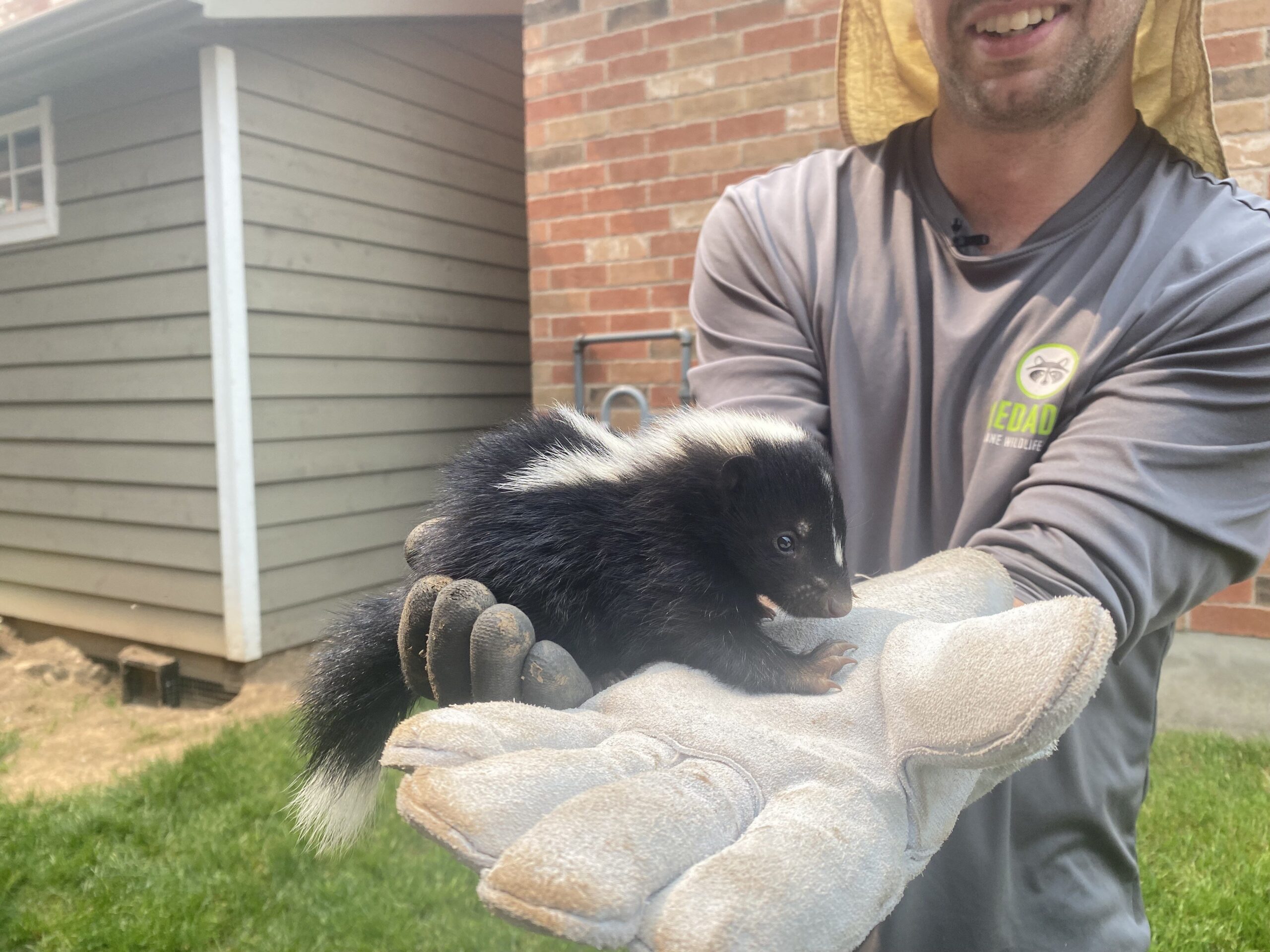 How to Remove Skunk Smell from Person