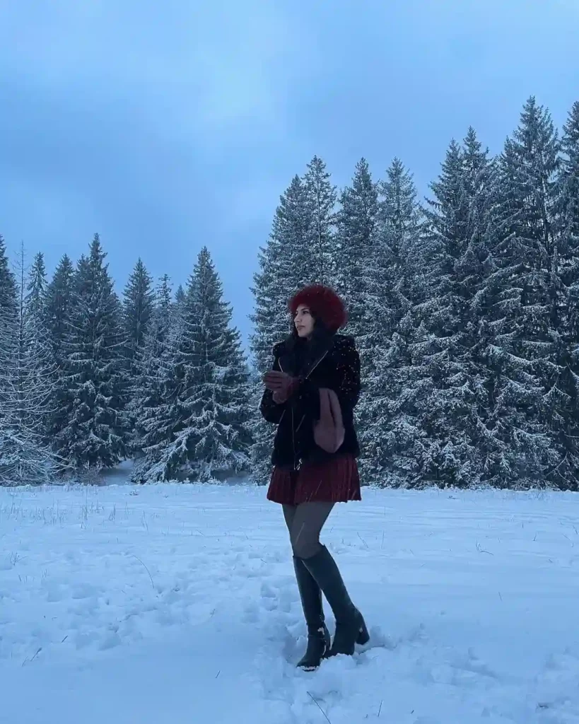 Burgundy Winter Elegance